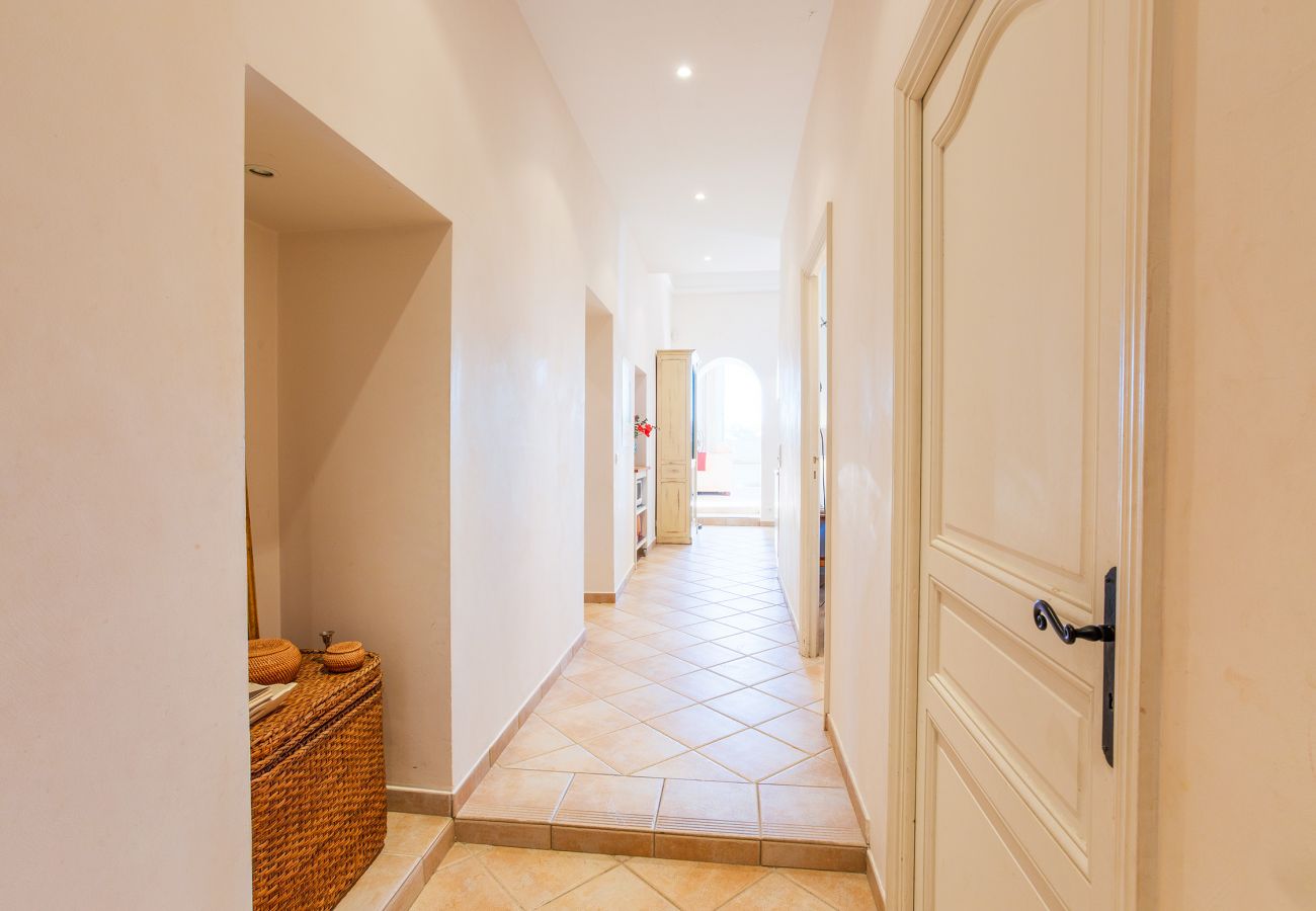 The hallway leading to the living room and kitchen