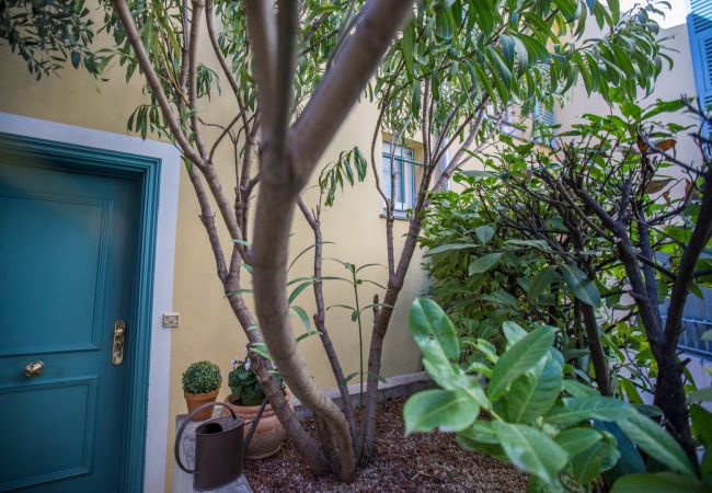 Apartment in Nice - COLLINE DU CHATEAU With Terrace by RIVIERA HOLIDAY HOMES Apartment in Nice - COLLINE DU CHATEAU With Terrace by RIVIERA HOLIDAY HOMES
