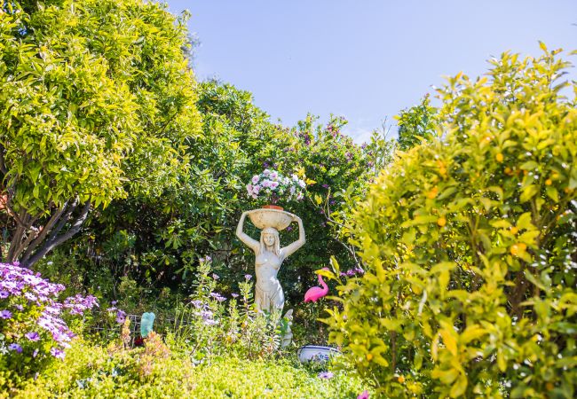 Villa in Nice - LA CASETTA DEI FIORI, Terrace with Pool by RIVIERA HOLIDAY HOMES Villa in Nice - LA CASETTA DEI FIORI, Terrace with Pool by RIVIERA HOLIDAY HOMES