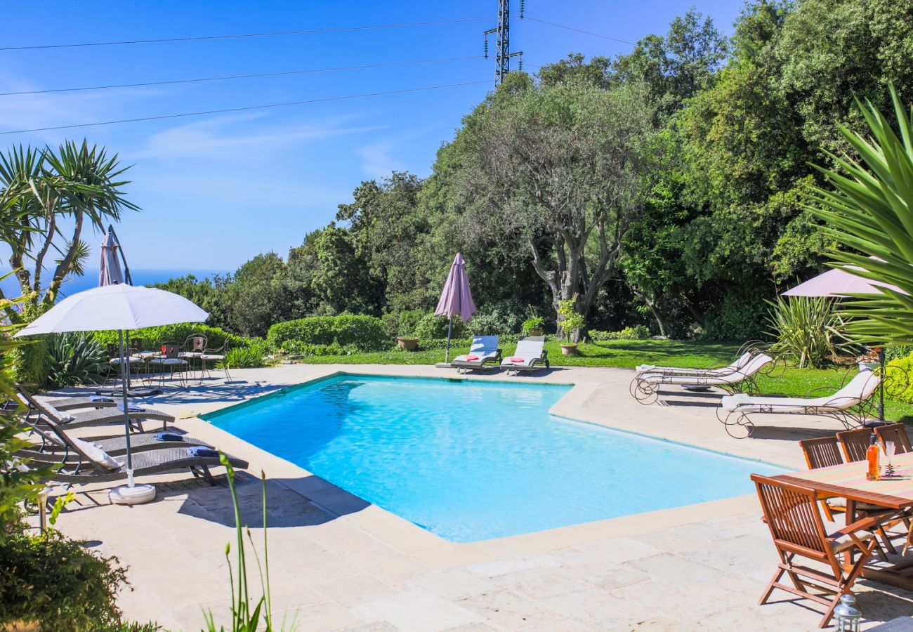 SWIMMING POOL - TERRACE