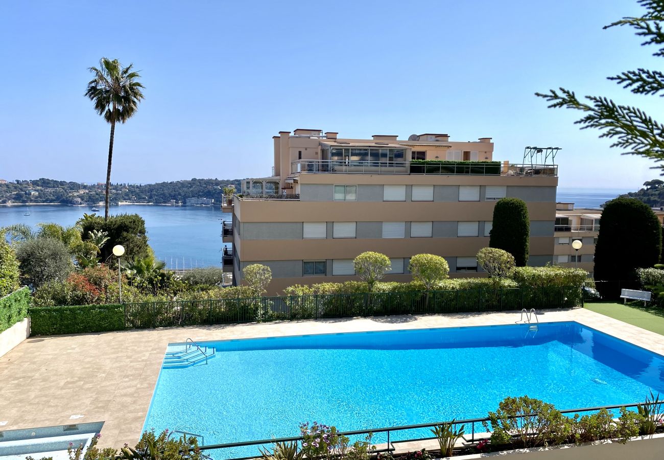 Swimming pool of the residence