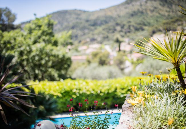 Villa in Tourrette-Levens - LA ROHIERE, Magnificent Villa with Pool by RIVIERA HOLIDAY HOMES Villa in Tourrette-Levens - LA ROHIERE, Magnificent Villa with Pool by RIVIERA HOLIDAY HOMES