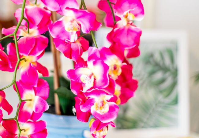 Apartment in Nice - PALAIS OTHELLO, Musiciens district by Riviera Holiday Homes Apartment in Nice - PALAIS OTHELLO, Musiciens district by Riviera Holiday Homes