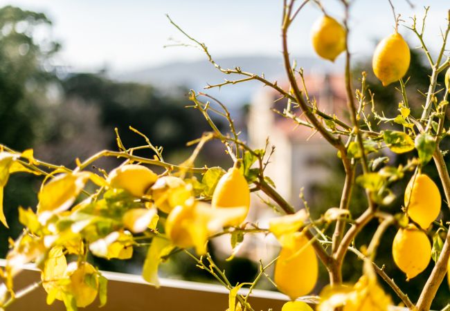 Apartment in Juan-les-Pins - LE CHATEAU DE LA PINEDE By Riviera Holiday Homes Apartment in Juan-les-Pins - LE CHATEAU DE LA PINEDE By Riviera Holiday Homes