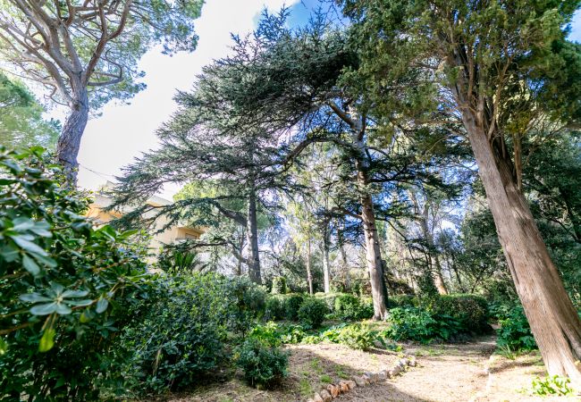 Apartment in Juan-les-Pins - LE CHATEAU DE LA PINEDE By Riviera Holiday Homes Apartment in Juan-les-Pins - LE CHATEAU DE LA PINEDE By Riviera Holiday Homes