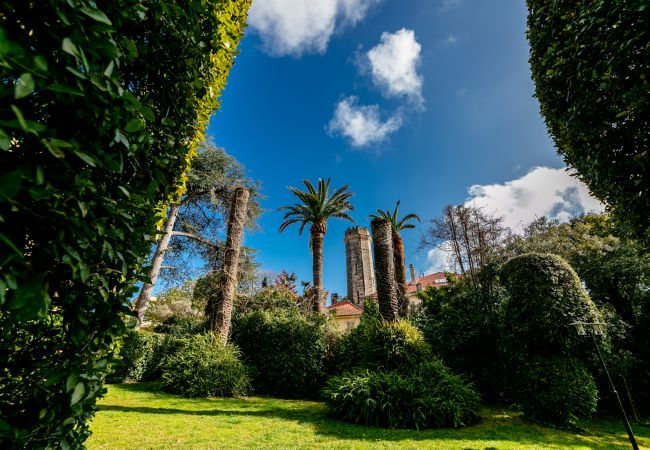 Apartment in Juan-les-Pins - LE CHATEAU DE LA PINEDE By Riviera Holiday Homes Apartment in Juan-les-Pins - LE CHATEAU DE LA PINEDE By Riviera Holiday Homes
