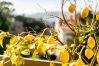 Apartment in Juan-les-Pins - LE CHATEAU DE LA PINEDE By Riviera Holiday Homes Apartment in Juan-les-Pins - LE CHATEAU DE LA PINEDE By Riviera Holiday Homes