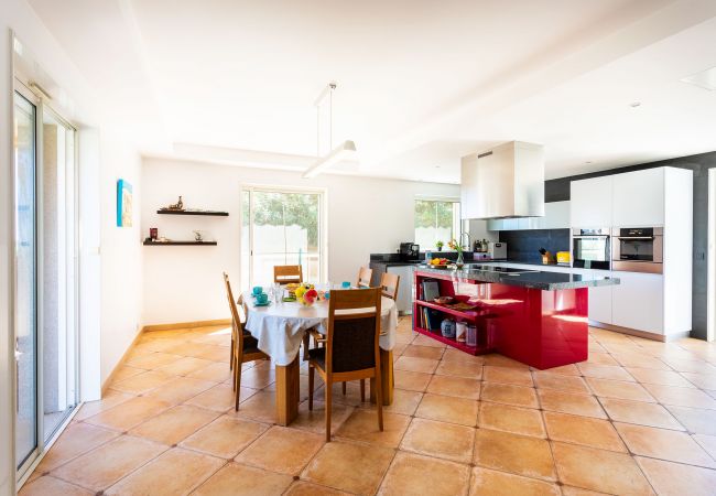 Villa in Golfe Juan - VILLA PARADISIO VI4351 By Riviera Holiday Homes Villa in Golfe Juan - VILLA PARADISIO VI4351 By Riviera Holiday Homes