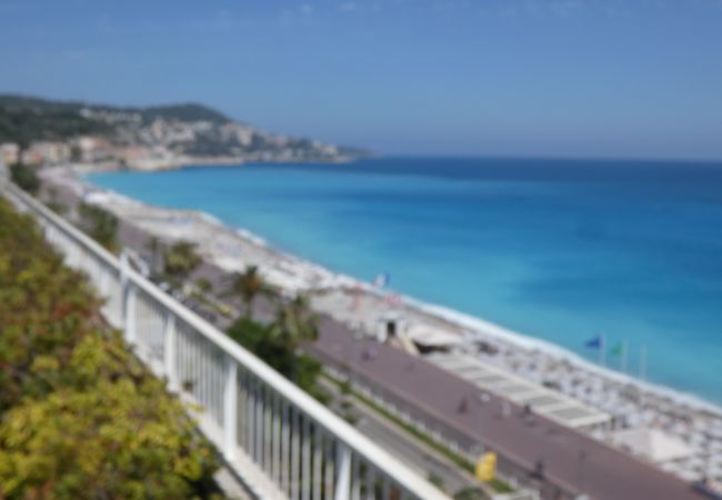 Studio in Nice - Royal Luxembourg AP4397 By Riviera Holiday Homes