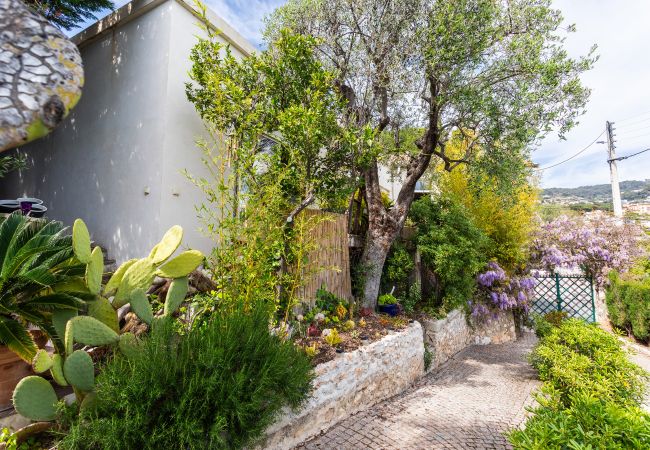 Villa in Villefranche-sur-Mer - VILLA MARGUERITE VI 4406 By Riviera Holiday Homes Villa in Villefranche-sur-Mer - VILLA MARGUERITE VI 4406 By Riviera Holiday Homes