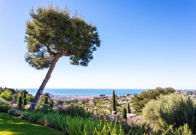 Villa in Nice - Villa ADRIANA VI4411 By Riviera Holiday Homes Villa in Nice - Villa ADRIANA VI4411 By Riviera Holiday Homes