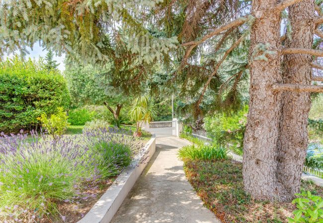 Villa in Nice - VILLA DYONIS VI4439 by Riviera Holiday Homes Villa in Nice - VILLA DYONIS VI4439 by Riviera Holiday Homes