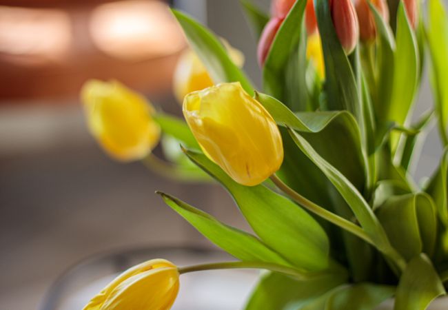 Apartment in Nice - La terrasse du port By Riviera Holiday Homes Apartment in Nice - La terrasse du port By Riviera Holiday Homes