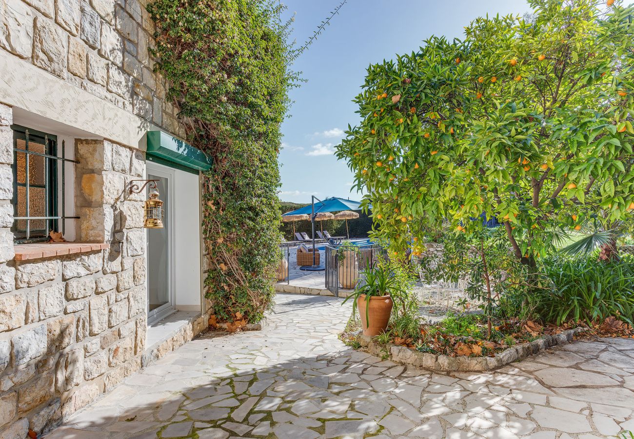 Villa in Vence - MAS ROSE VI4493 by Riviera Holiday Homes