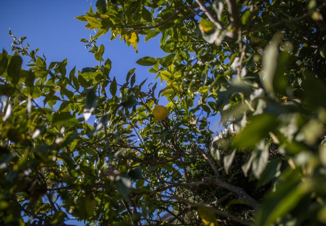 Appartement à Villefranche-sur-Mer - LA MALMAISON , Avec Terrasse vue sur mer by RIVIERA HOLIDAY HOMES Appartement à Villefranche-sur-Mer - LA MALMAISON , Avec Terrasse vue sur mer by RIVIERA HOLIDAY HOMES