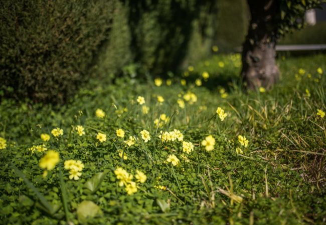 Appartement à Villefranche-sur-Mer - LA MALMAISON , Avec Terrasse vue sur mer by RIVIERA HOLIDAY HOMES Appartement à Villefranche-sur-Mer - LA MALMAISON , Avec Terrasse vue sur mer by RIVIERA HOLIDAY HOMES