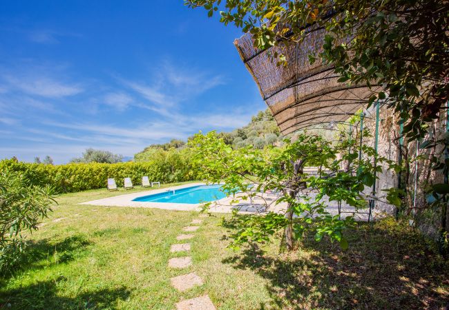 Villa à Nice -  VINAIGRIER HILLS, Grande Villa avec terrasse, piscine une belle vue mer by RIVIERA HOLIDAY HOMES 