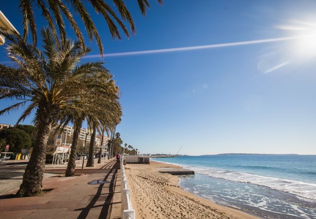 LA CROISETTE LA CROISETTE