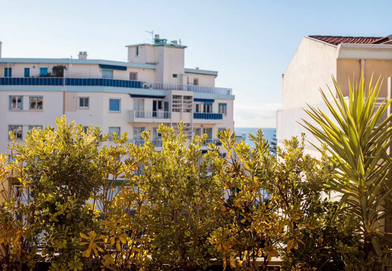 Vue de la terrasse