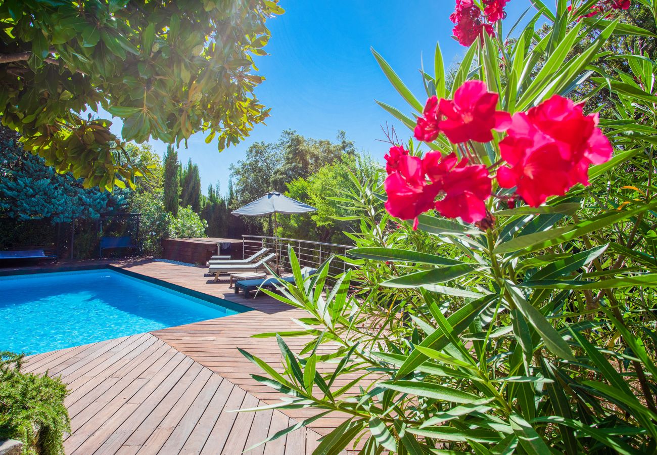 Piscine et terrasse aménagée