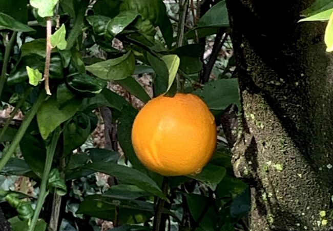 Villa à Châteauneuf-Grasse - Villa Ock en Bourg - Etoiles du Sud Villa à Châteauneuf-Grasse - Villa Ock en Bourg - Etoiles du Sud