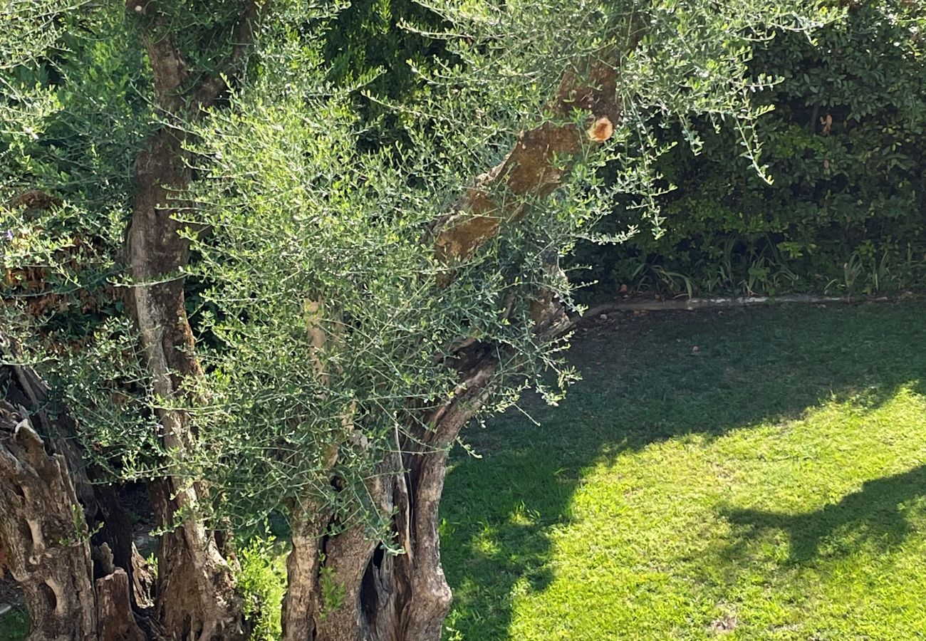 Villa à Vence - MAS ROSE VI4493 by Riviera Holiday Homes