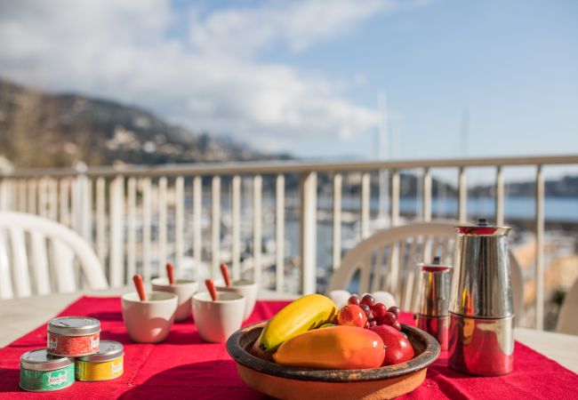 TERRACE TERRACE
