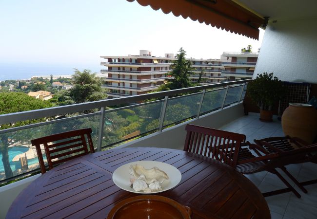TERRACE TERRACE