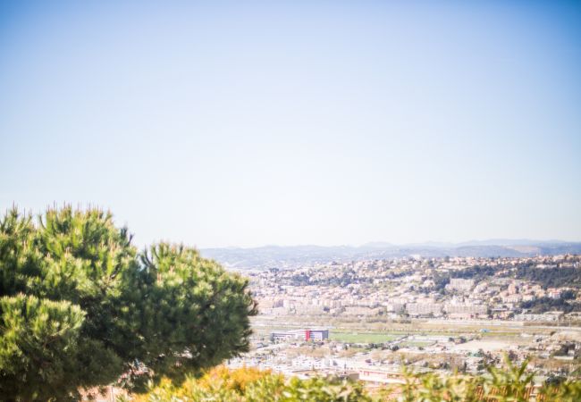 VIEW VIEW