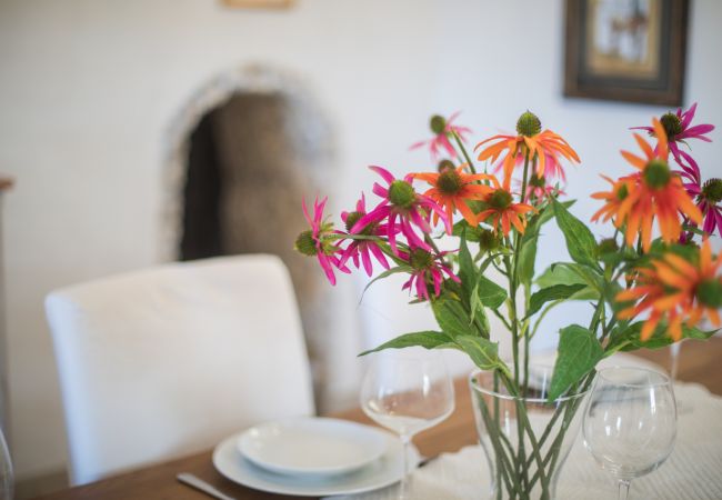 Apartment in Nice - MAS DES OLIVIERS II AP2067 by RIVIERA HOLIDAY HOMES Apartment in Nice - MAS DES OLIVIERS II AP2067 by RIVIERA HOLIDAY HOMES
