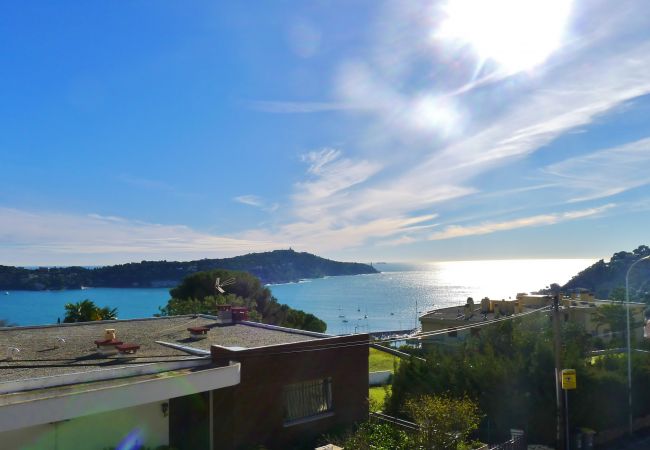 VIEW VIEW
