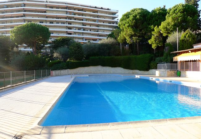 Shared swimming pool in residence Big pool