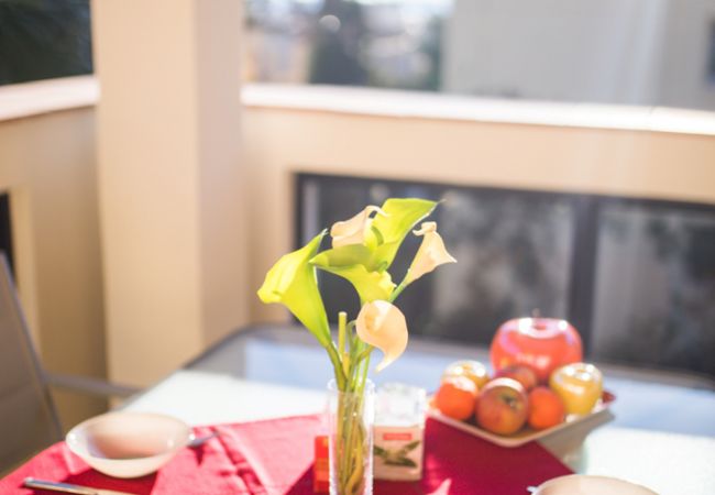 TERRACE TERRACE