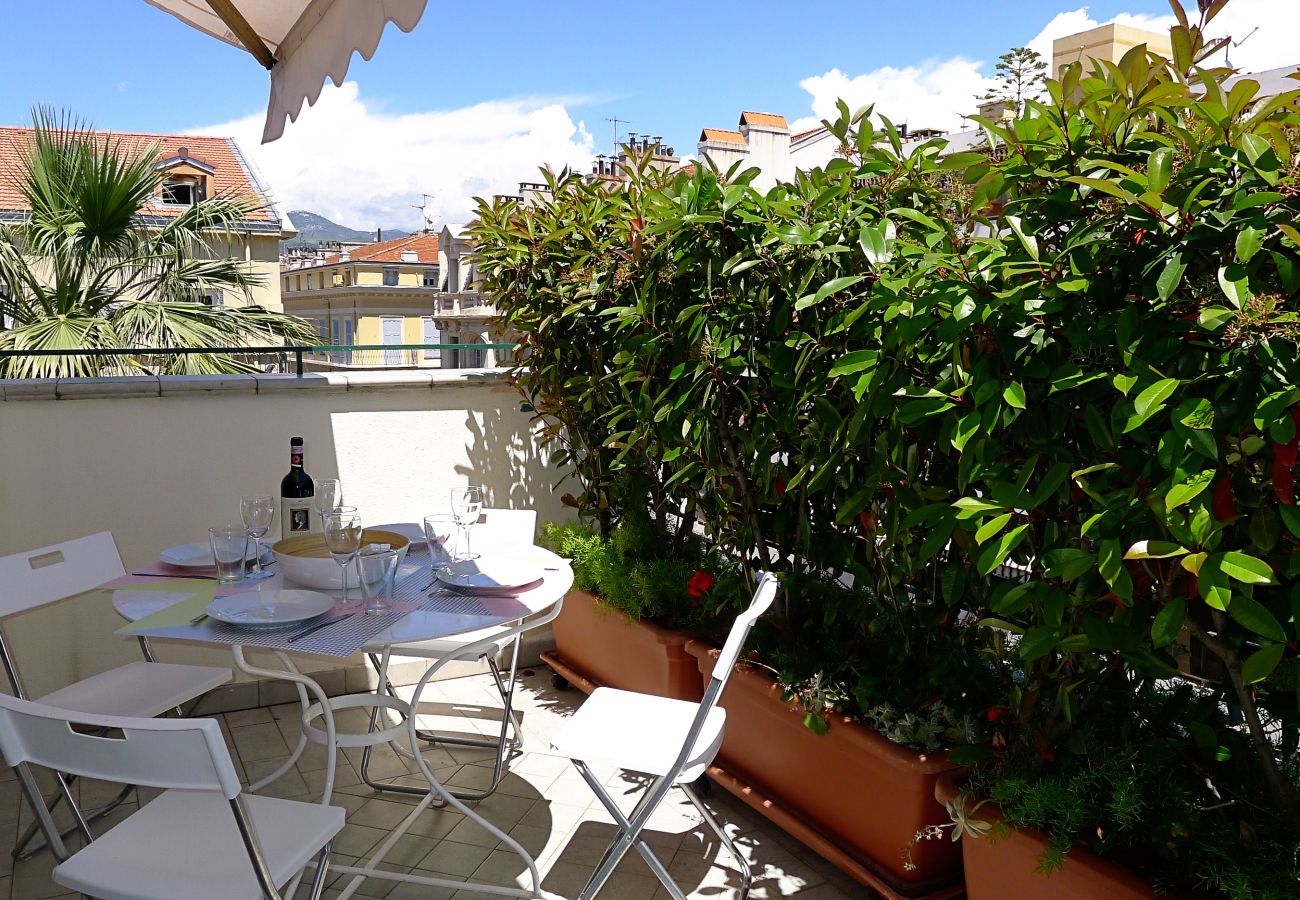 TERRACE TERRACE