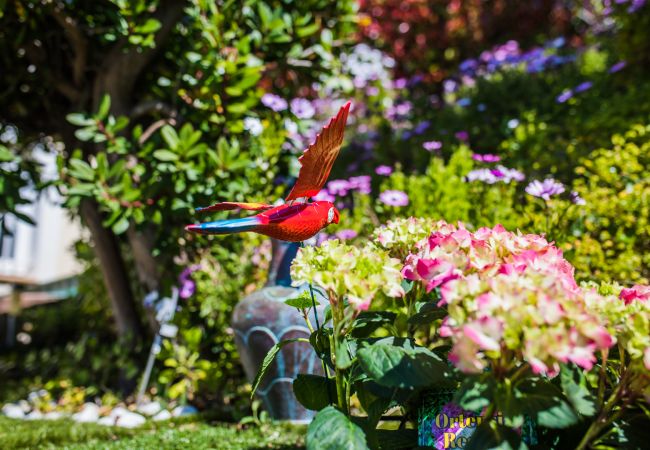 GARDEN GARDEN