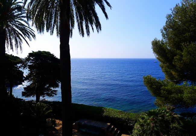 VIEW VIEW