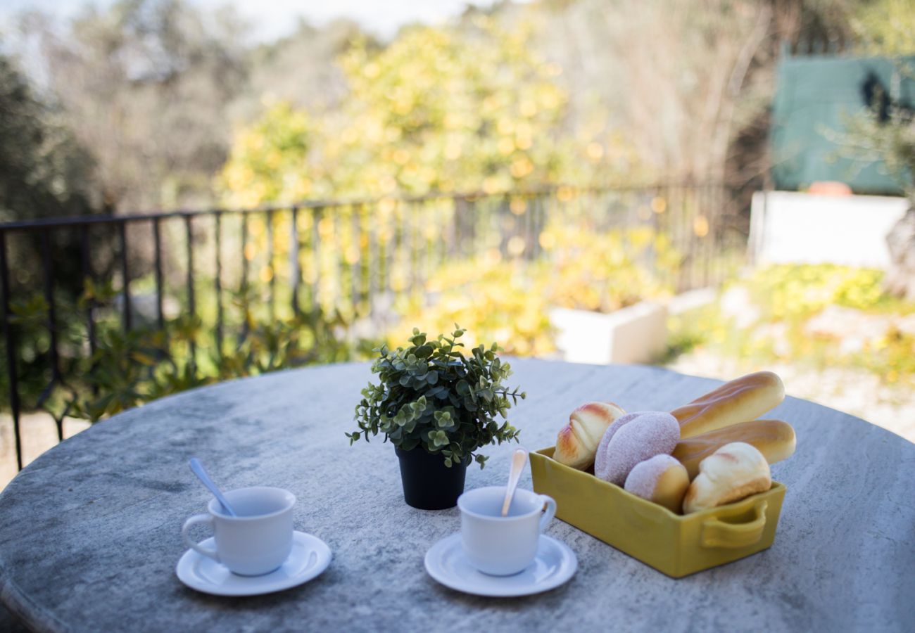 TERRACE TERRACE
