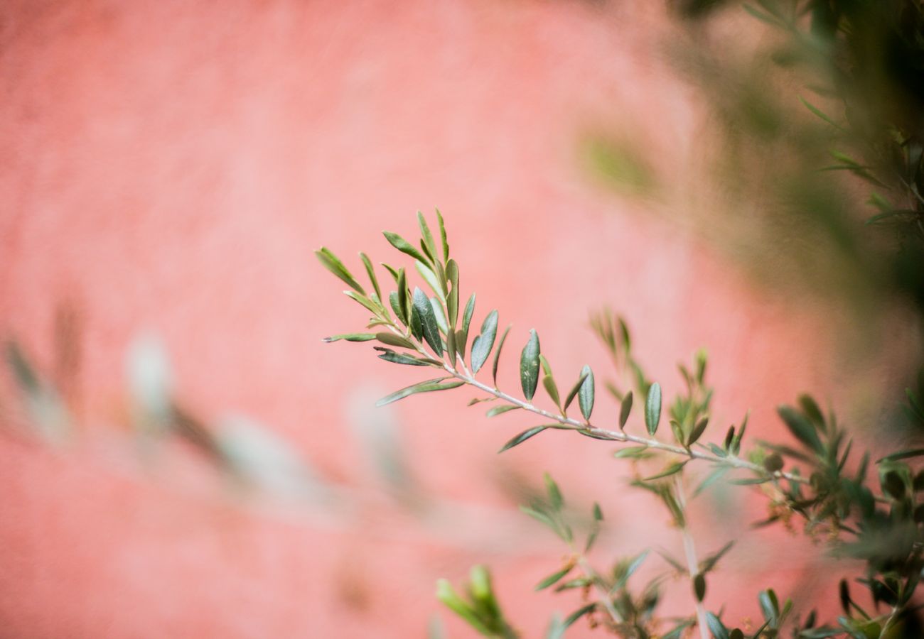 DETAILS DETAILS