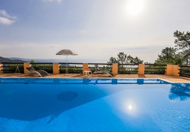SWIMMING POOL SWIMMING POOL