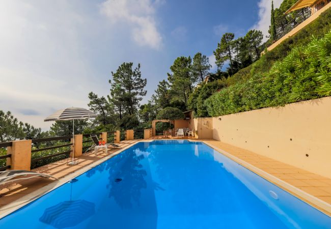 SWIMMING POOL SWIMMING POOL