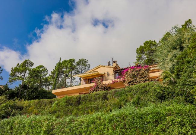 VILLA VILLA