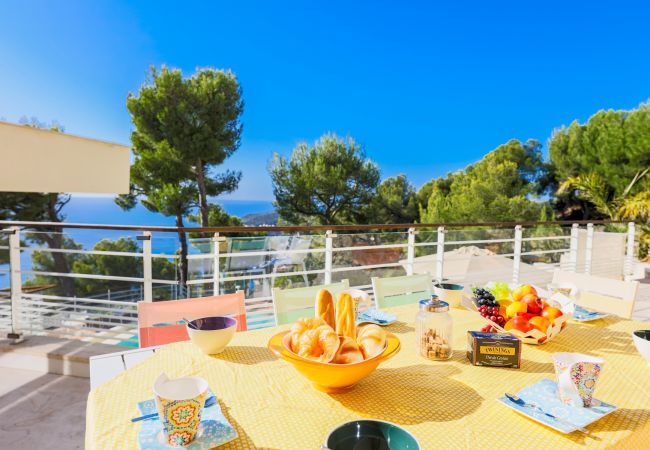 TERRACE TERRACE