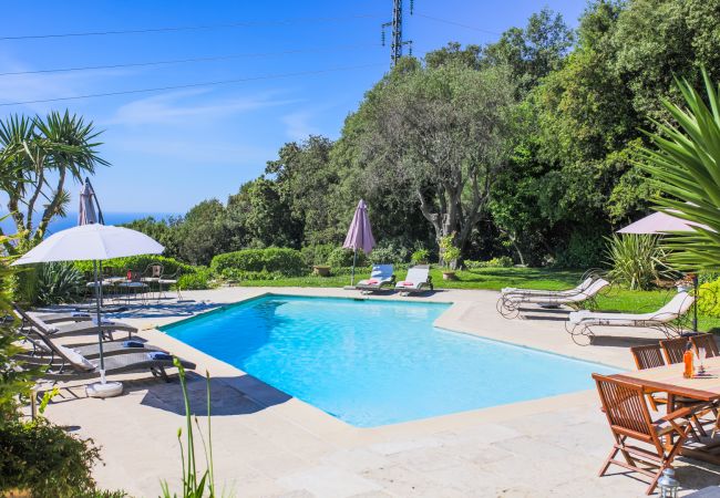 SWIMMING POOL - TERRACE SWIMMING POOL - TERRACE