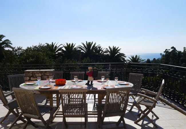 TERRACE TERRACE