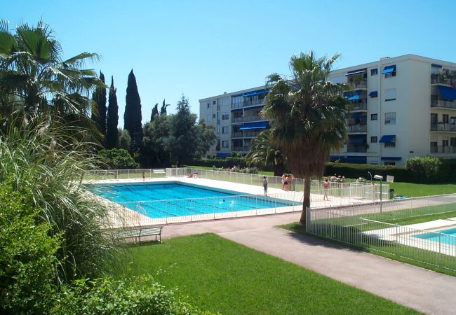 SWIMMING POOL SWIMMING POOL