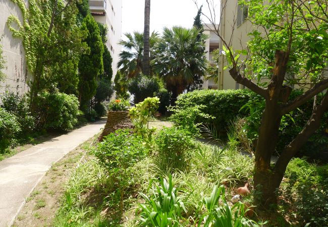 THE GARDEN THE GARDEN