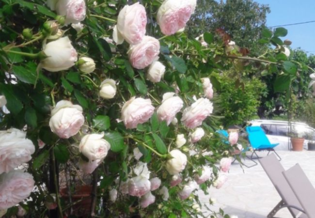 ROSES Villa in Vence - LA VENCIANNE II Large Villa with garden, swimming pool by RIVIERA HOLIDAY HOMES