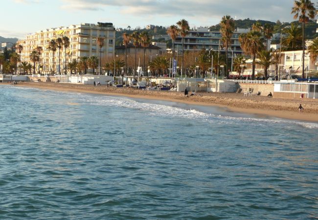 Apartment in Cannes - PLAGE DU MIDI AP4145 Apartment in Cannes - PLAGE DU MIDI AP4145