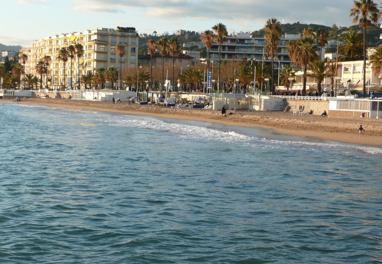 Apartment in Cannes - PLAGE DU MIDI AP4145 Apartment in Cannes - PLAGE DU MIDI AP4145