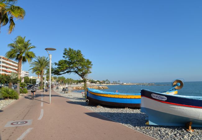 Promenade Near the sea Walk Near the sea